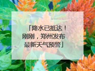降水已抵达！刚刚，郑州发布最新天气预警