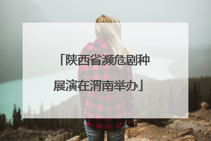 陕西省濒危剧种展演在渭南举办