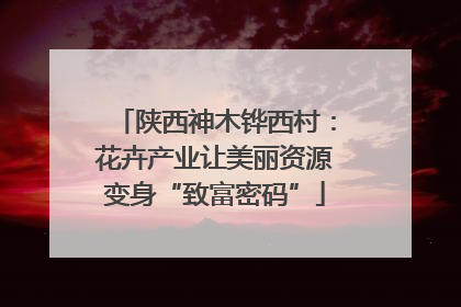 陕西神木铧西村：花卉产业让美丽资源变身“致富密码”