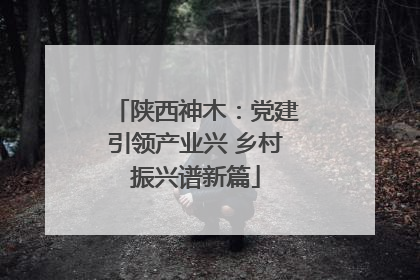 陕西神木：党建引领产业兴 乡村振兴谱新篇
