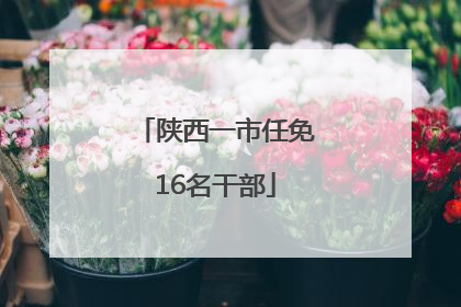 陕西一市任免16名干部