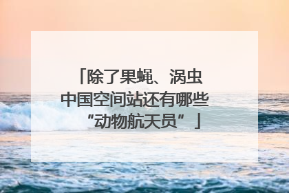 除了果蝇、涡虫 中国空间站还有哪些“动物航天员”