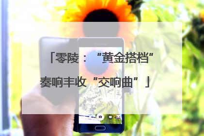 零陵：“黄金搭档”奏响丰收“交响曲”