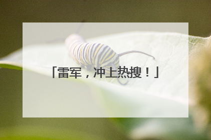 雷军，冲上热搜！