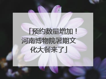 预约数量增加！河南博物院暑期文化大餐来了