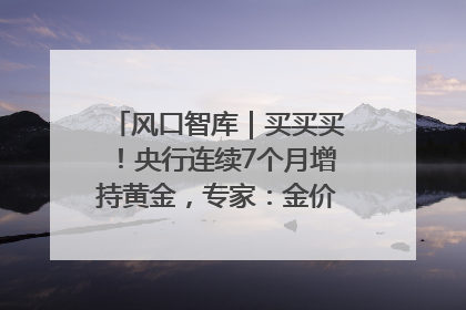 风口智库｜买买买！央行连续7个月增持黄金，专家：金价或仍易涨难跌