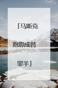 马斯克抱怨成替罪羊