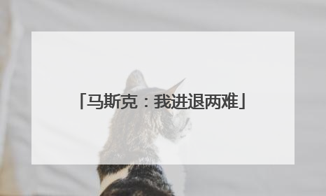 马斯克：我进退两难