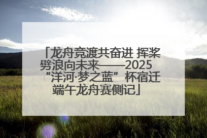 龙舟竞渡共奋进 挥桨劈浪向未来——2025“洋河·梦之蓝”杯宿迁端午龙舟赛侧记