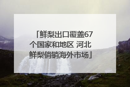 鲜梨出口覆盖67个国家和地区 河北鲜梨俏销海外市场