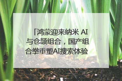 鸿蒙迎来纳米 AI 与仓颉组合，国产组合拳重塑AI搜索体验｜新经济观察