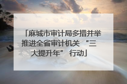 麻城市审计局多措并举推进全省审计机关 “三大提升年” 行动