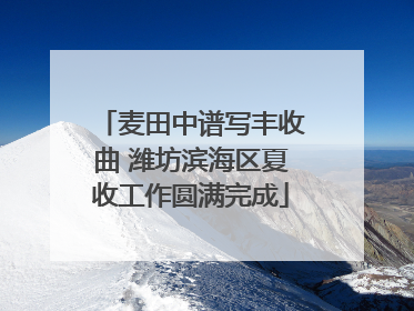 麦田中谱写丰收曲 潍坊滨海区夏收工作圆满完成