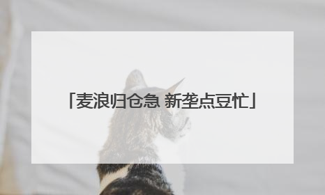 麦浪归仓急 新垄点豆忙