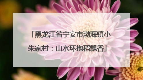 黑龙江省宁安市渤海镇小朱家村：山水环抱稻飘香