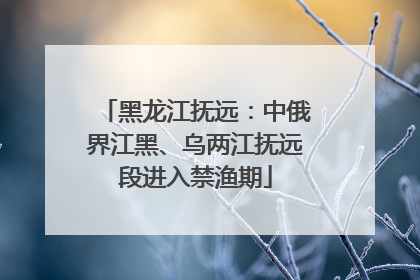 黑龙江抚远：中俄界江黑、乌两江抚远段进入禁渔期