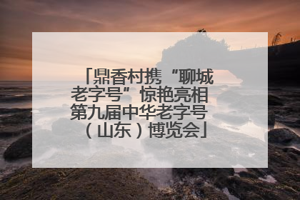鼎香村携“聊城老字号”惊艳亮相第九届中华老字号（山东）博览会