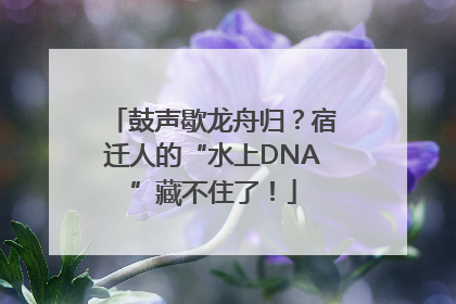 鼓声歇龙舟归？宿迁人的“水上DNA”藏不住了！