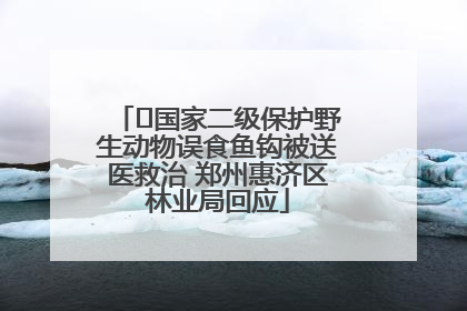﻿国家二级保护野生动物误食鱼钩被送医救治 郑州惠济区林业局回应