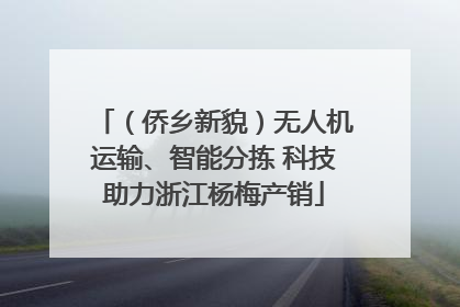 （侨乡新貌）无人机运输、智能分拣 科技助力浙江杨梅产销