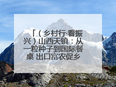 （乡村行·看振兴）山西天镇：从一粒种子到国际餐桌 出口富农促乡村振兴