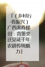 （乡村行·看振兴）广西龙脊梯田：背篓变迁见证千年农耕传统魅力