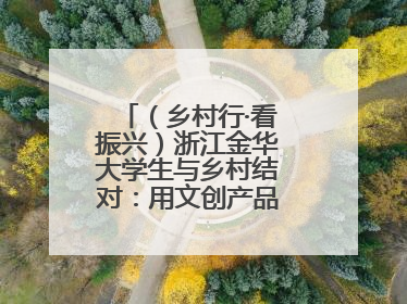 （乡村行·看振兴）浙江金华大学生与乡村结对：用文创产品赋能乡村振兴