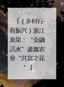 （乡村行·看振兴）浙江龙泉：“金融活水”灌溉农业“共富之花”