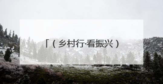 （乡村行·看振兴）陕西留坝：“满山绿”如何变“口袋金”？
