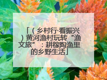 （乡村行·看振兴）黄河渔村玩转“渔文旅”：耕稼陶渔里的乡野生活