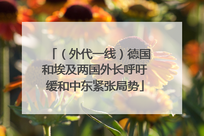 （外代一线）德国和埃及两国外长呼吁缓和中东紧张局势
