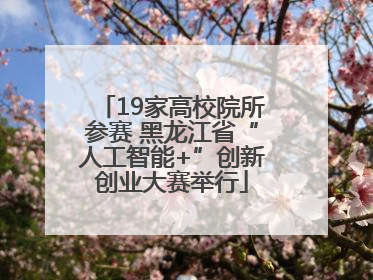 19家高校院所参赛 黑龙江省“人工智能+”创新创业大赛举行