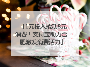 1元投入撬动8元消费！支付宝助力合肥激发消费活力