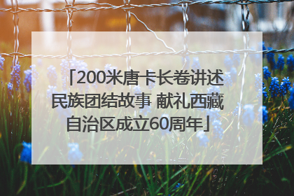 200米唐卡长卷讲述民族团结故事 献礼西藏自治区成立60周年