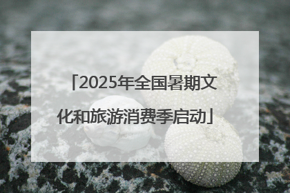 2025年全国暑期文化和旅游消费季启动