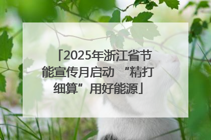 2025年浙江省节能宣传月启动 “精打细算”用好能源