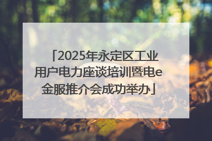 2025年永定区工业用户电力座谈培训暨电e金服推介会成功举办