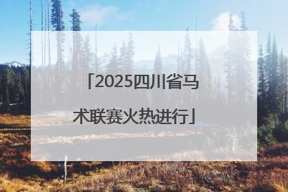 2025四川省马术联赛火热进行