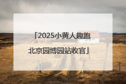 2025小黄人趣跑北京园博园站收官