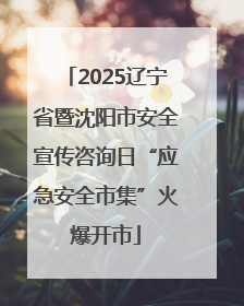 2025辽宁省暨沈阳市安全宣传咨询日“应急安全市集”火爆开市