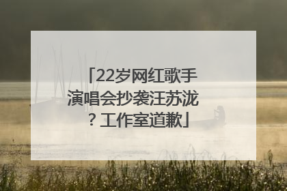 22岁网红歌手演唱会抄袭汪苏泷？工作室道歉