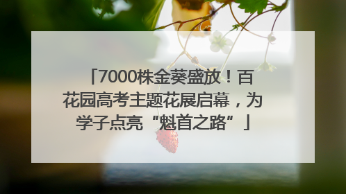 7000株金葵盛放！百花园高考主题花展启幕，为学子点亮“魁首之路”