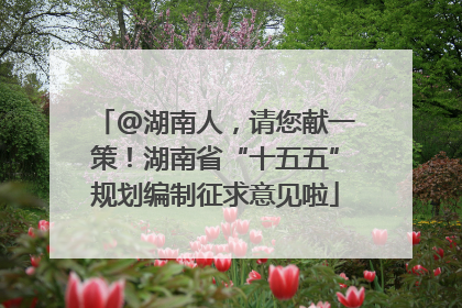 @湖南人，请您献一策！湖南省“十五五”规划编制征求意见啦