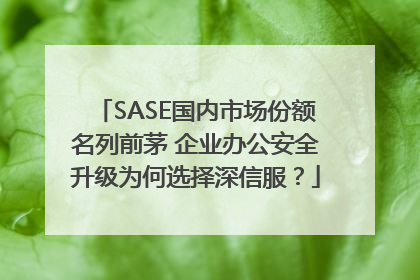 SASE国内市场份额名列前茅 企业办公安全升级为何选择深信服？
